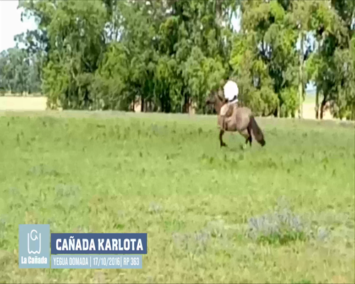 Lote Cañada Kibuena (RP 365) Cabaña "La Cañada"