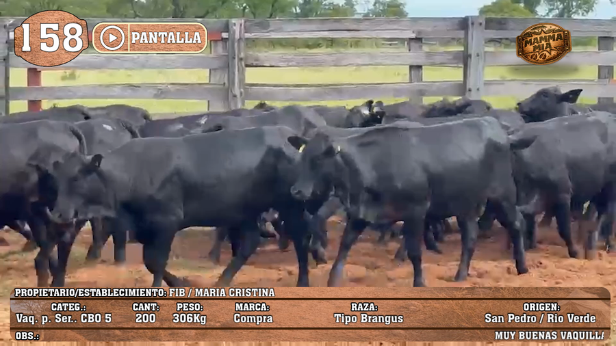 Lote LOTE 158 - PANTALLA