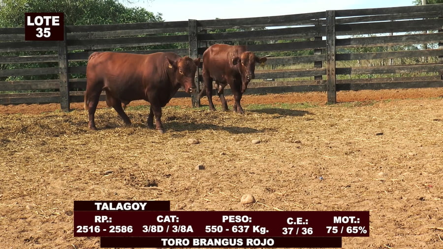 Lote Cabañas de Tradición - Lote 35