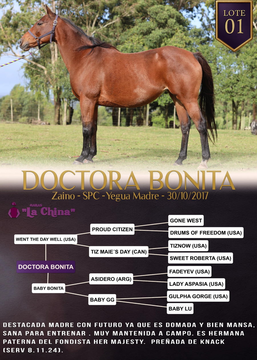 Lote DOCTORA BONITA