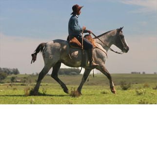 Lote GARUA EL CIMARRON