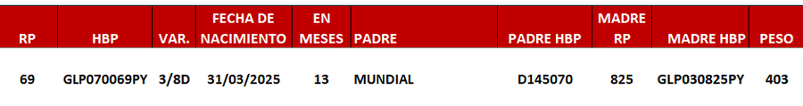 Lote LOTE 20 -DE JUNIOR