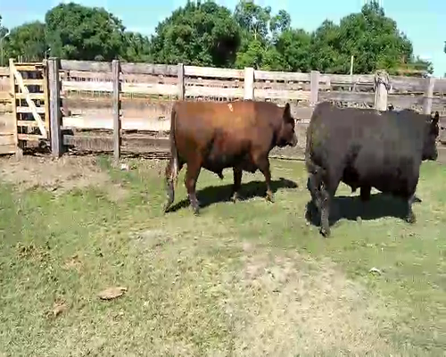 Lote 2 TORO PI en Melo, Cerro Largo