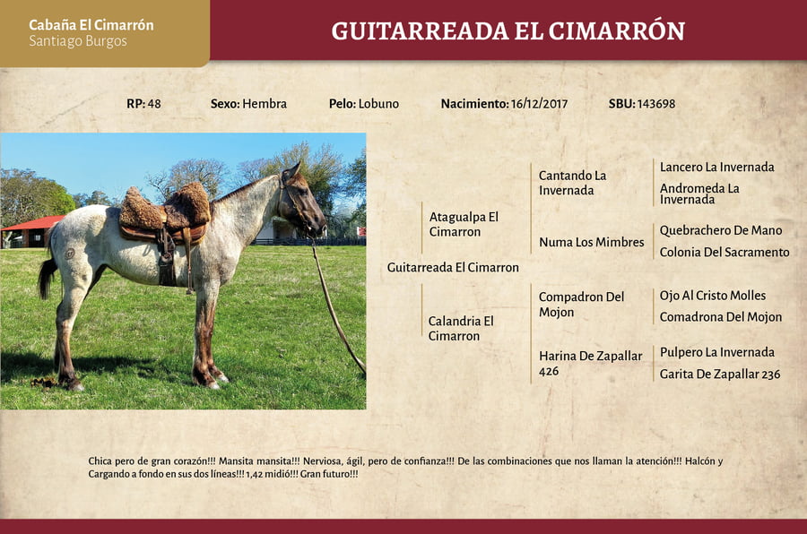 Lote Guitarreada El Cimarrón (RP 48) - Cabaña El Cimarrón