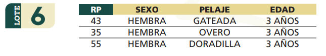 Lote LOTE 6