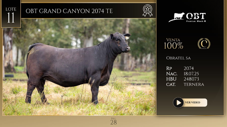 Lote OBT GRAND CANYON 2074 TE