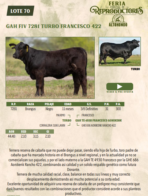 Lote LOTE 70