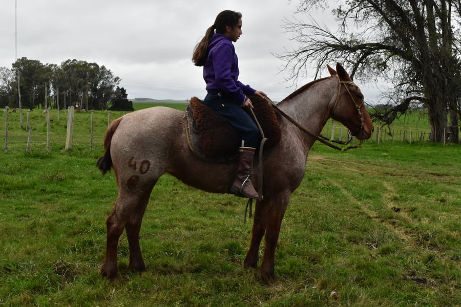 Lote Cabaña "Media Rienda" - RP 40 - SAPUCAY