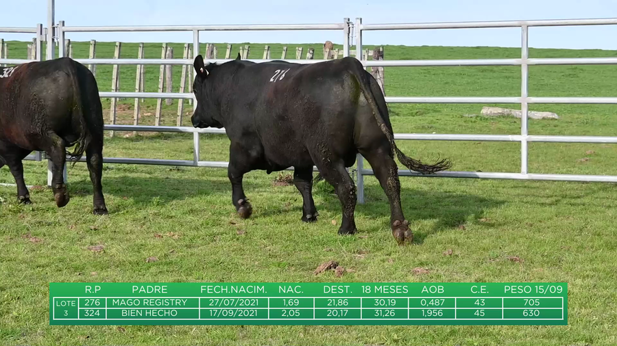 Lote Cabaña El Gualicho