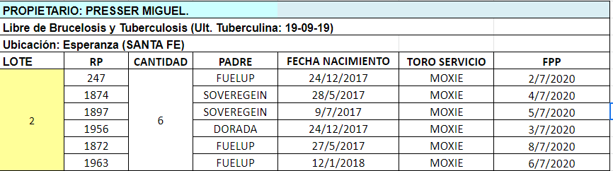 Lote 6 Vaquillonas en  Esperanza, Santa Fe