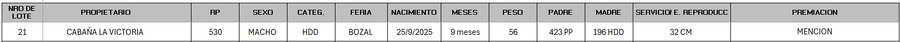 Lote LOTE 21 - BOZAL