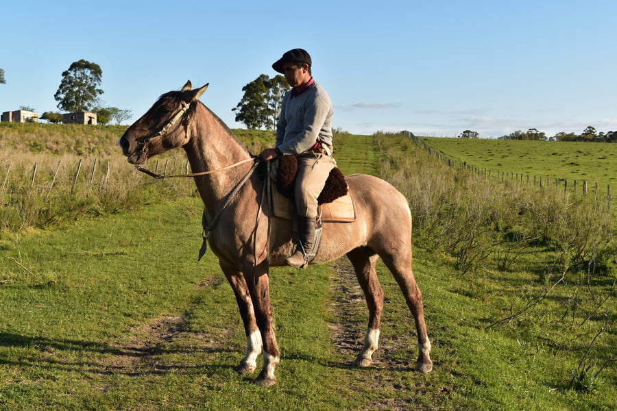 Lote Cabaña "Firmeza" - RP 73 - Piraí 73