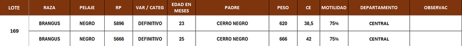 Lote LOTE 169