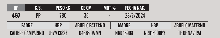 Lote LOTE 45