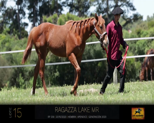Lote RAGAZZA LAKE MR
