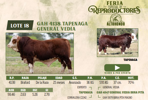 Lote LOTE 18