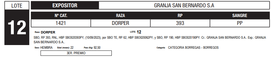 Lote LOTE 12