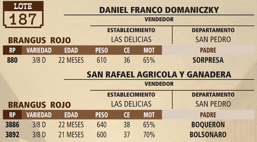 Lote LOTE 187 -  VIVO