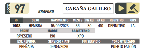 Lote LOTE 97