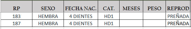 Lote LOTE 20