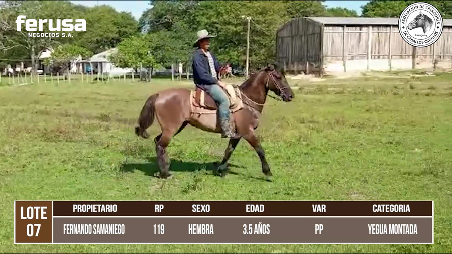 Lote LOTE 7 DE BOZAL
