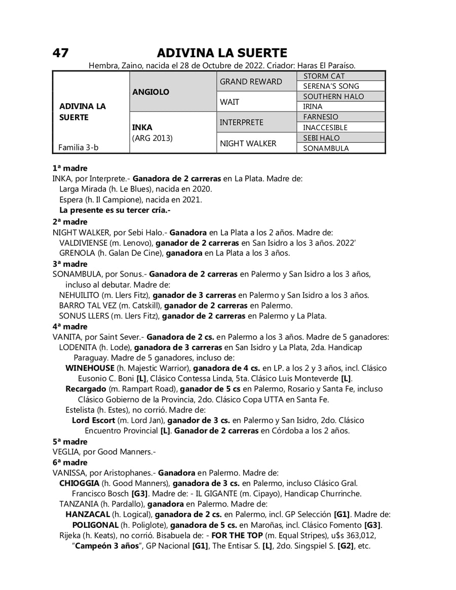 Lote ADIVINA LA SUERTE