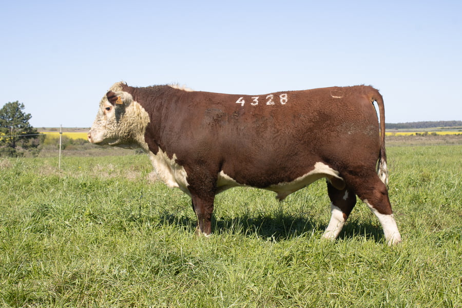 Lote 23