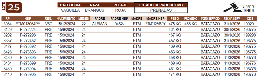 Lote LOTE 25