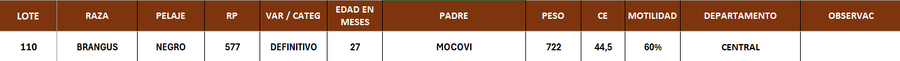 Lote LOTE 110