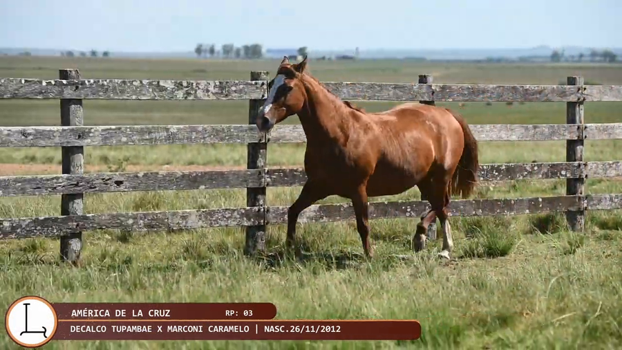 Lote America de la Cruz