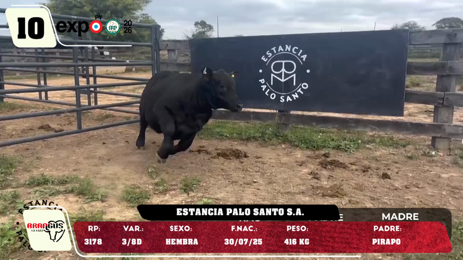 Lote LOTE 10