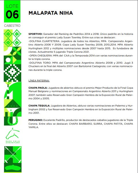 Lote MALAPATA NIHA(MALAPATA VAN GOGH-MALAPATA MACA)