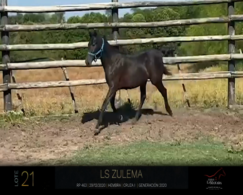 Lote LS ZULEMA