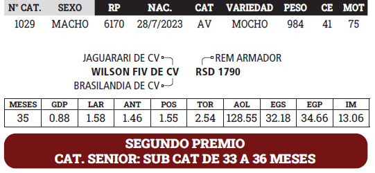 Lote LOTE 4 - BOZAL