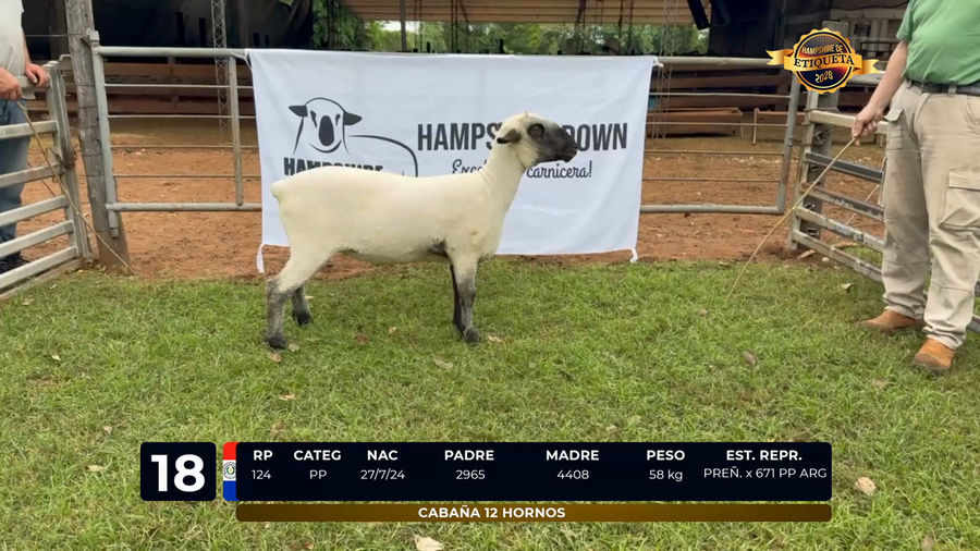 Lote LOTE 18