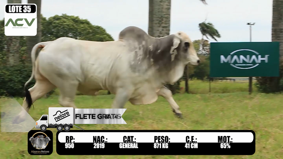 Lote LOTE 35-  RP 950