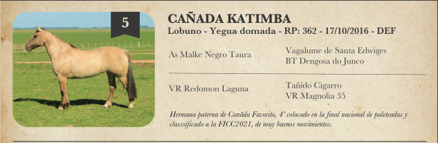 Lote Criollos da Fronteira Cañada Katimba  RP: 362