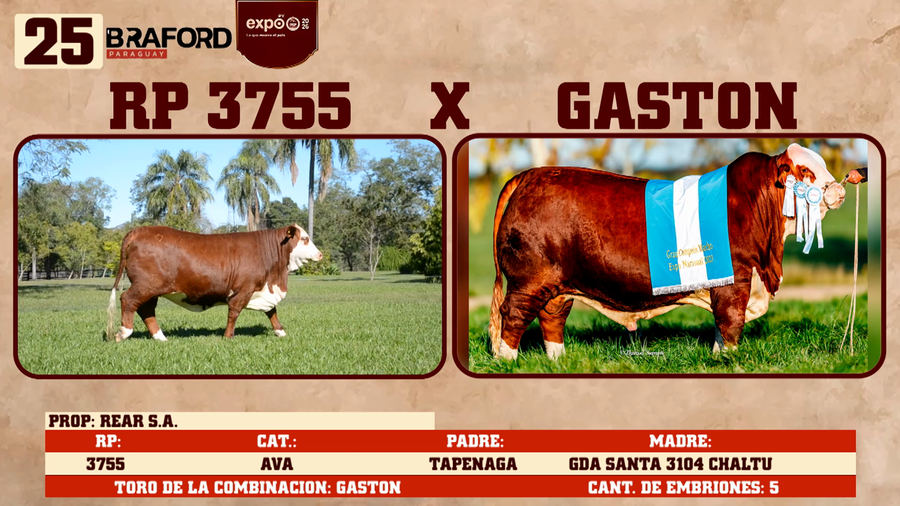 Lote LOTE 25