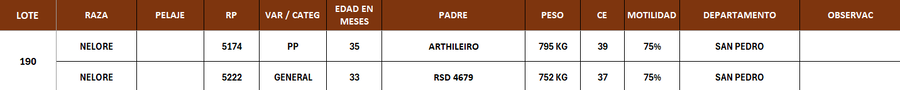 Lote LOTE 190