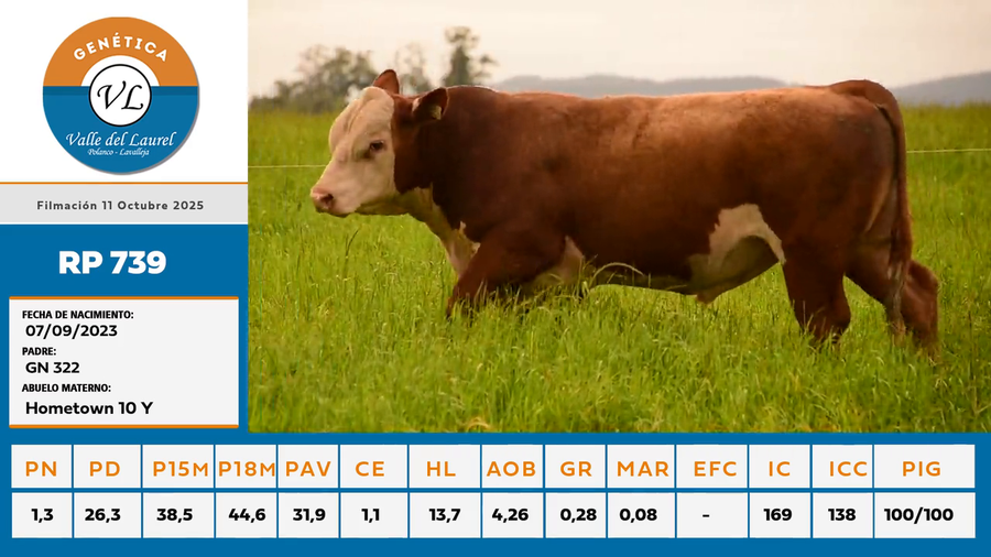 Lote RP 739 - Valle del Laurel