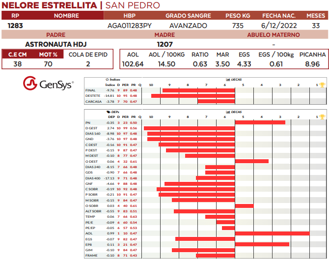 Lote LOTE 64