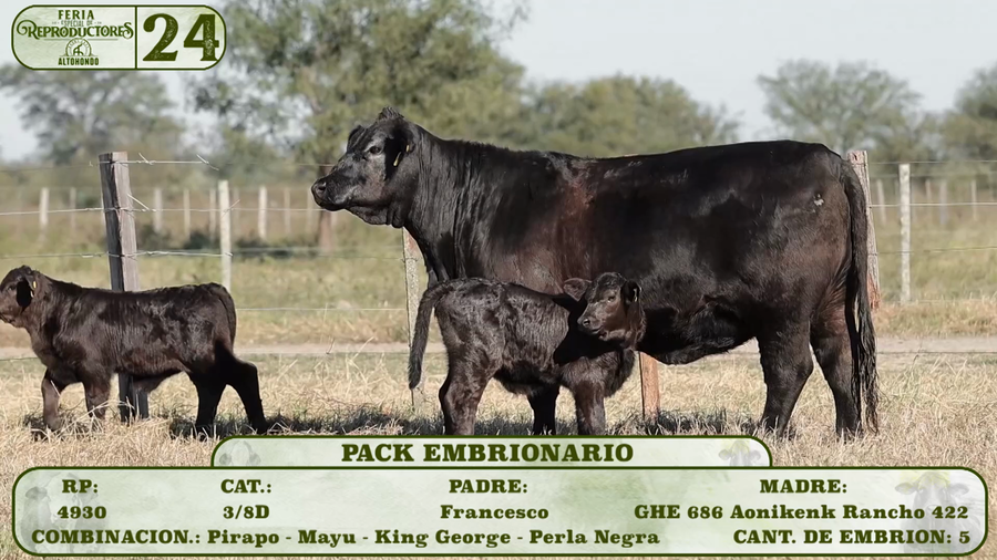 Lote LOTE 24