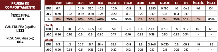 Lote LAS DIVISAS HOMETOWN 17/4