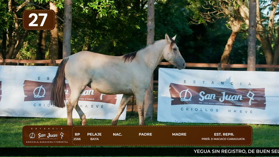 Lote LOTE 27