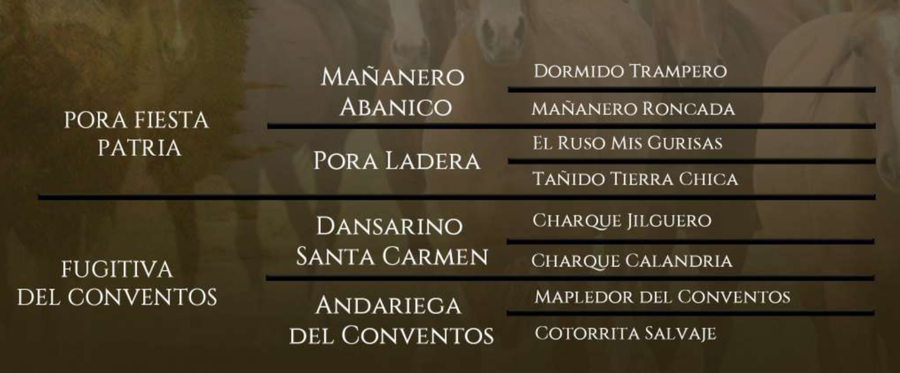 Lote Caminante del Conventos