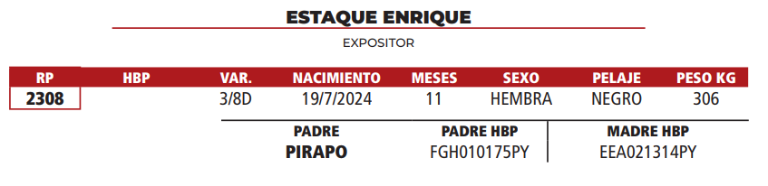 Lote LOTE 15
