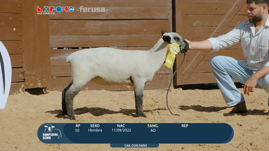 Lote LOTE 64 - BOZAL