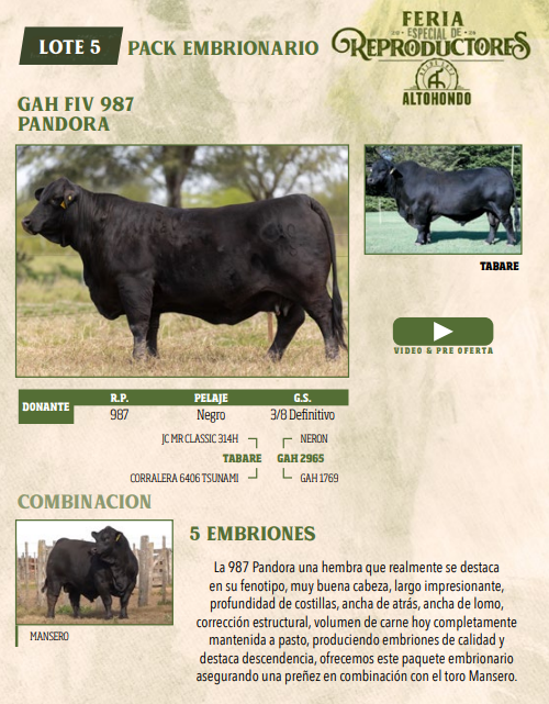 Lote LOTE 5