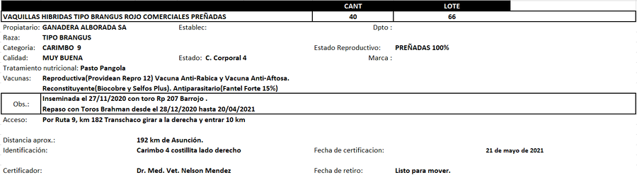 Lote Reproductores de Alborada - Lote 66