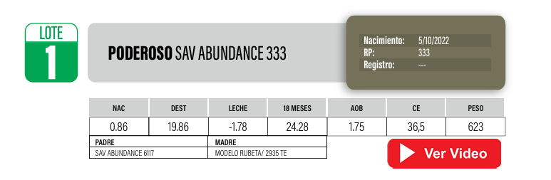 Lote Toros PI / PO / PC Angus a remate en Cabaña La Poderosa, Florida